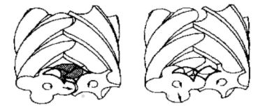 螺桿空壓機的排氣過程